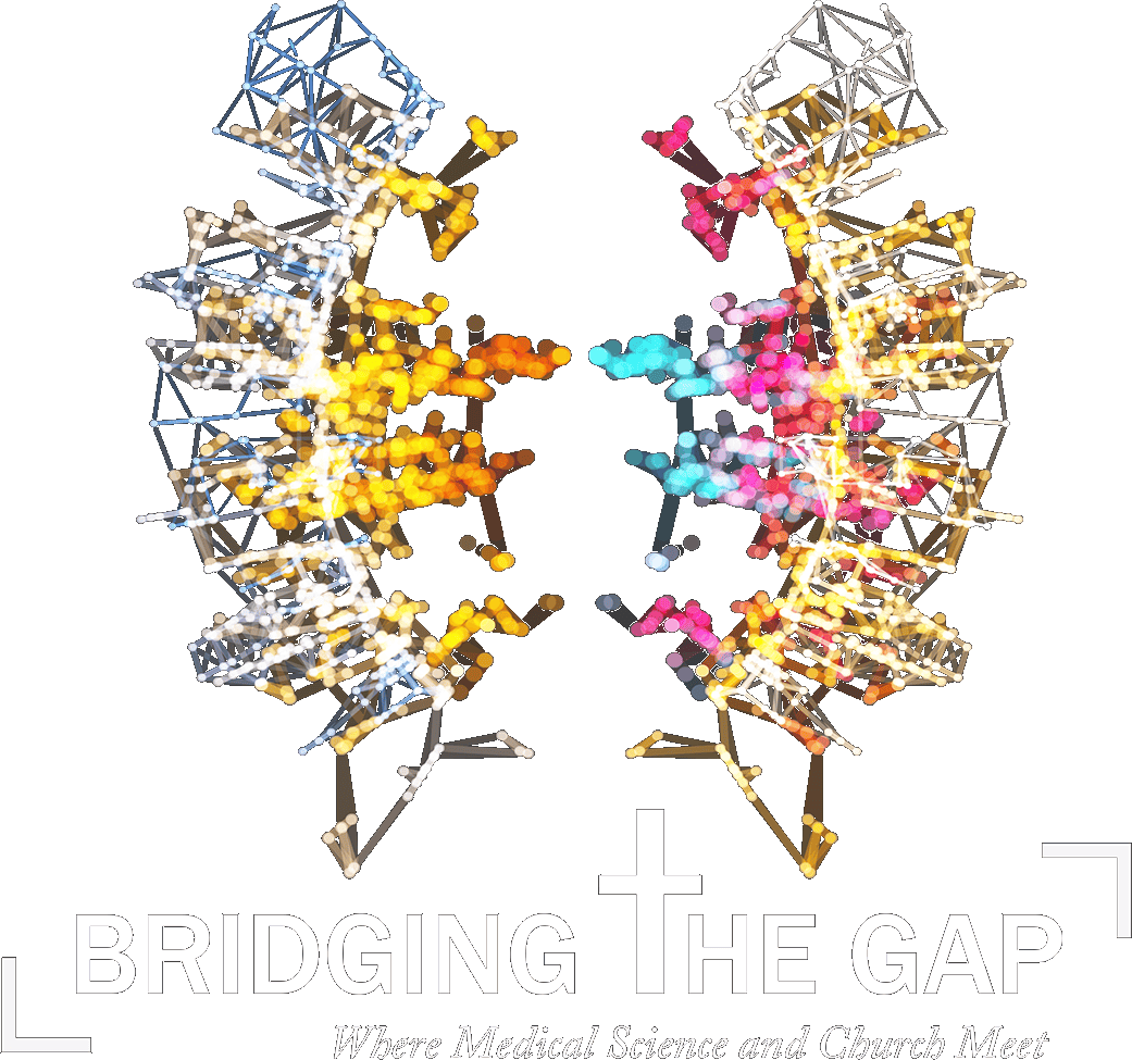 Bridgingthegapllogo